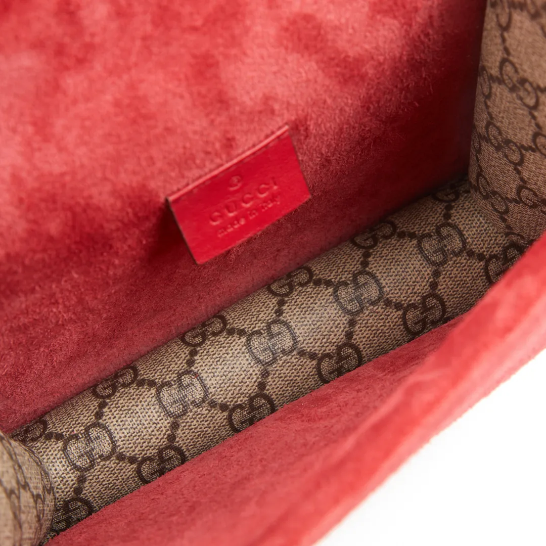 Zoom sur la doublure intérieure du sac Dionysus Gucci